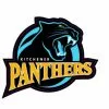 Stahls K.M.B.A Kitchener Panther Car Decal
