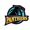 Kitchener Panther Helmet Sticker Stahl 1 Stahls Kitchener Panther Helmet Sticker