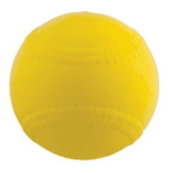 Champion 9" Lite Flite Ball