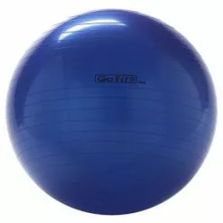 Exercise Go Fit Stability Ball