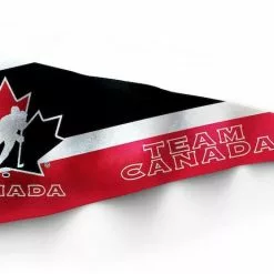 Hockey TSV NHL Pennant