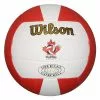 Wilson CVA Gold Official Outdoor Volleyball