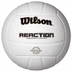 Wilson Reaction 4900 Volleyball