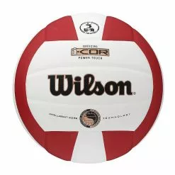Wilson Icore Volleyball